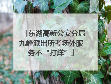 东湖高新公安分局九峰派出所考场外服务不“打烊”